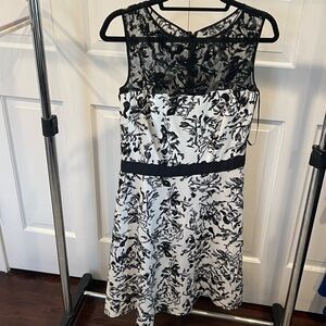 Tadashi Shoji Knee Length Black and White Dress